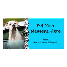 White Boxer in a Car Customized Photo Card