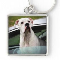 White Boxer in a Car Keychain
