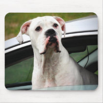 White Boxer in a Car Mousepads