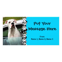 White Boxer in a Car Customized Photo Card