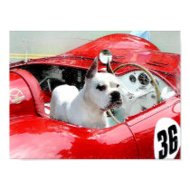White Boxer in Maserati poster posters