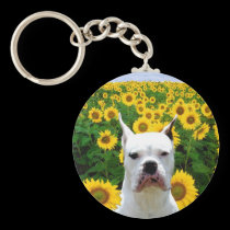 White boxer in sunflowers keychain keychains