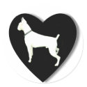White boxer love large stickers