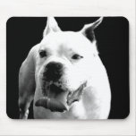 White boxer mousepad