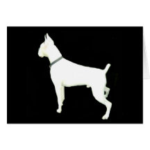 White boxer notecard
