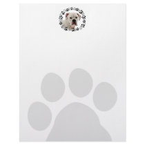 White Boxer Photo Letterhead Design