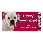 White Boxer Photo Photo Cards