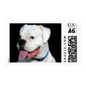 White Boxer postage postage