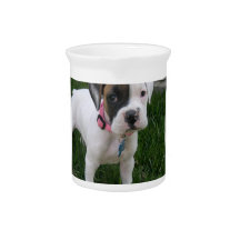 White Boxer Puppy Dog  Pitcher