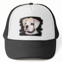 White Boxer puppy hats