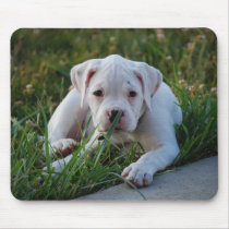 White Boxer Puppy mousepads