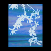 White Branch canvas prints