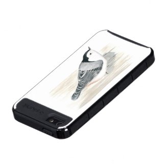 White-breasted Nuthatch iPhone 5 Case