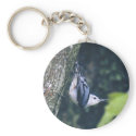 White breasted Nuthatch keychains