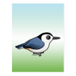 White-breasted Nuthatch Postcard