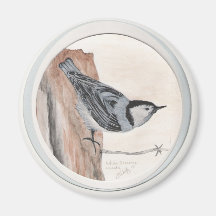 white breasted nuthatch refrigerator magnets