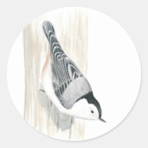 White-breasted Nuthatch Sticker