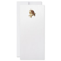 White Breasted Sea Eagle. Large Bird of Prey. Full Color Rack Card