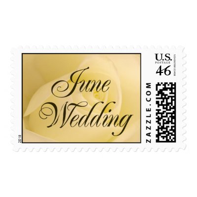 White Bridal Rose - June Wedding Postage Stamp