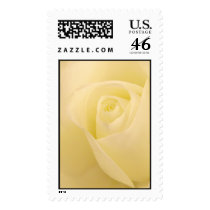 White bridal rose stamp