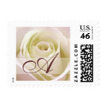 White Bridal Rose Postage Stamp