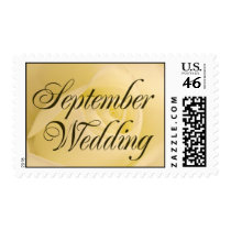 White Bridal Rose - September wedding postage by aslentz White Bridal Rose - September wedding postage