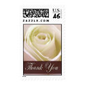 White bridal rose - Thank you postage postage
