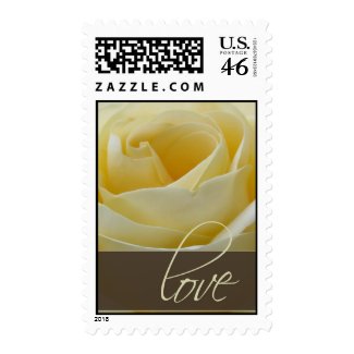 White bridal rose with chocolate brown accent stamp