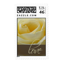 White bridal rose with chocolate brown accent postage by aslentz White bridal rose with chocolate brown accent postage