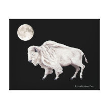 White Buffalo Full Moon Gallery Wrapped Canvas