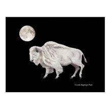 White Buffalo Full Moon Post Cards