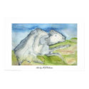 White Buffalo posters