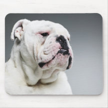 White Bull dog Mousepads