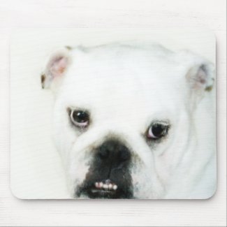 White bulldog mousepad mousepad
