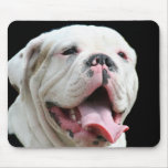 White Bulldog  mousepad