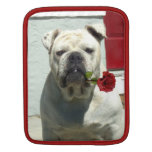 White Bulldog with rose iPad Sleeve
