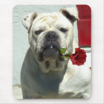 White bulldog with rose mousepad
