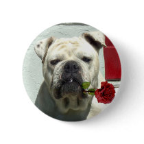 White bulldog with rose round button