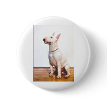 White Bully Pinback Buttons
