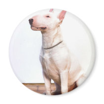 White Bully Refrigerator Magnets