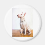 White Bully Magnet