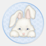 White Bunny - Blue Stickers