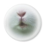 White Bunny Nose Magnet