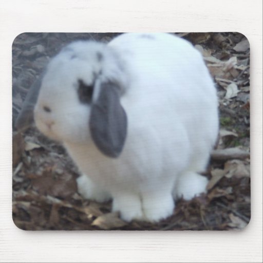 White Bunny Rabbit Happy Easter Mousemat Mousepads