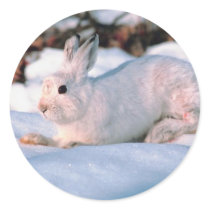 White Bunny Sticker