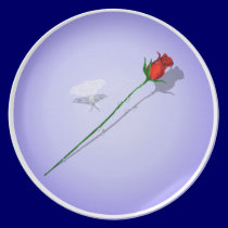 White Butterfly and a Red Rose Plate plates
