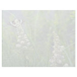 white Butterfly and meadowsweet, Quebec, Canada. f Letterhead Design