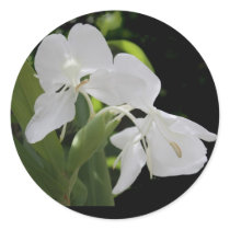White Butterfly Ginger stickers by TrevorStar White Butterfly Ginger stickers