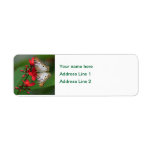 White Butterfly on Red Flowers Return Address Labels