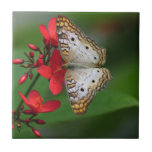 White Butterfly on Red Flowers Ceramic Tiles